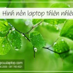 Hình nền laptop thiên nhiên