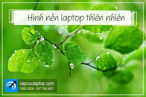 Cách đổi hình nền laptop Dell đơn giản cực nhanh trên Win 7, 8, 10, 11 –  TINHOCNGOISAO.COM