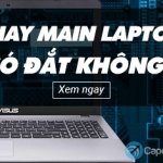 Thay main laptop có đắt không?