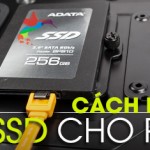 Cách lắp SSD cho PC