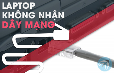 laptop khong nhan day mang